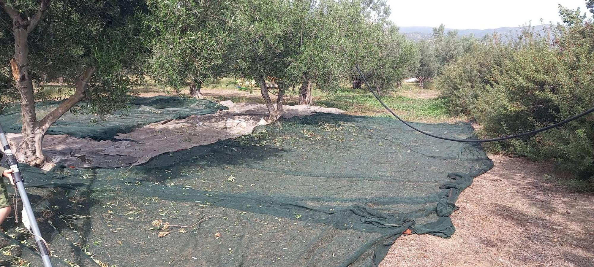 شقة Ktima Develekou Pigadhia  المظهر الخارجي الصورة