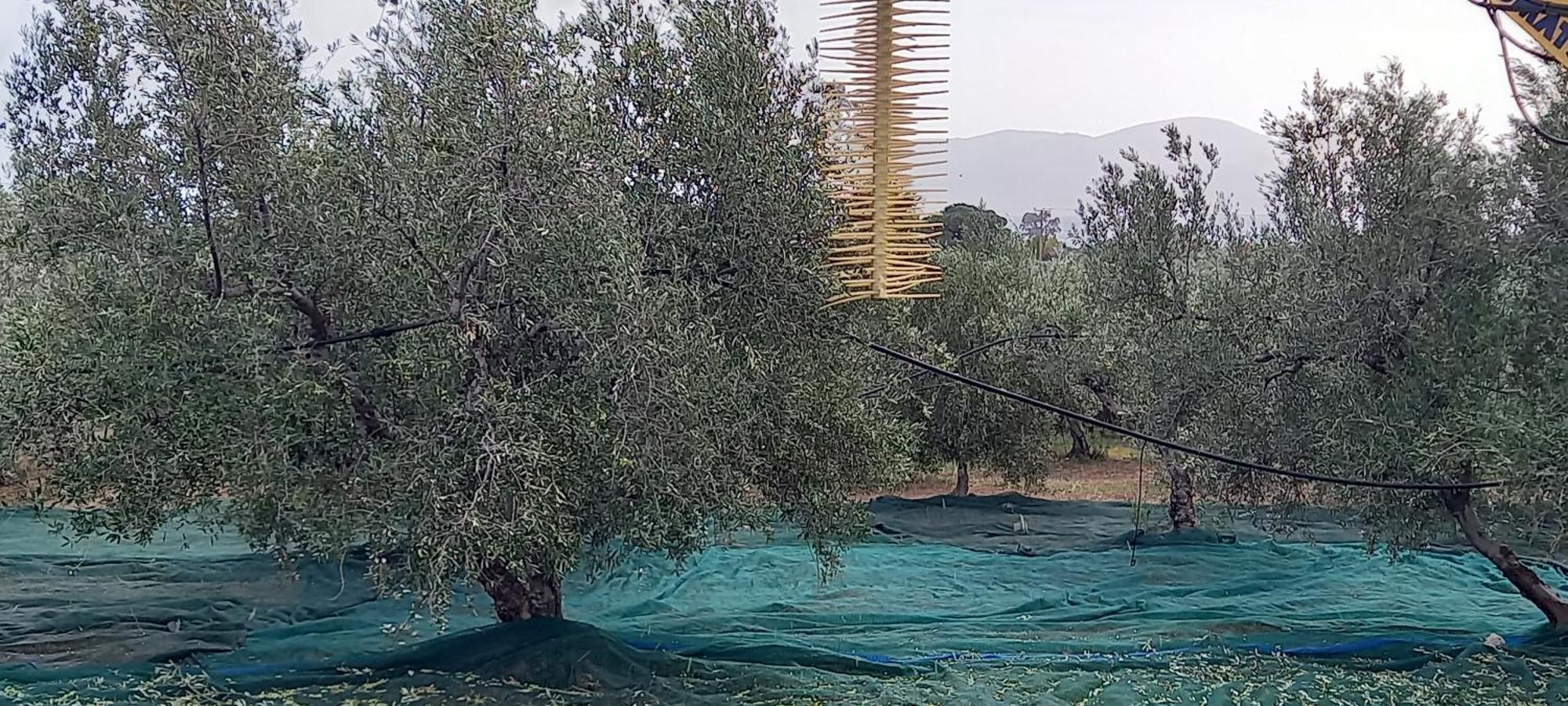 شقة Ktima Develekou Pigadhia  المظهر الخارجي الصورة